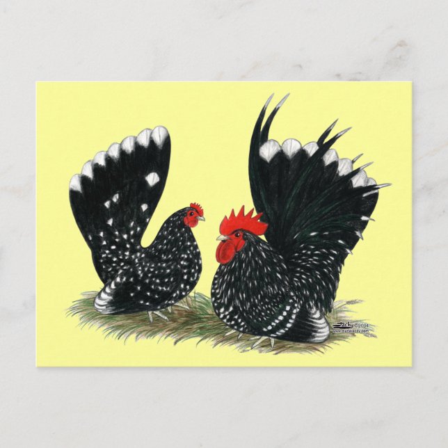 Japanese Bantams Mottled Postcard (Front)
