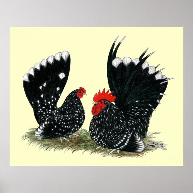 Japanese Bantams Mottled Poster (Front)