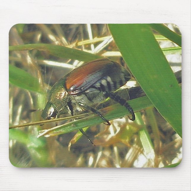 Japanese Beetle Mousepad (Front)