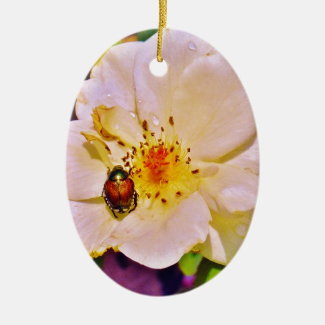 Japanese Beetle on White  Rose Ceramic Tree Decoration (Front)