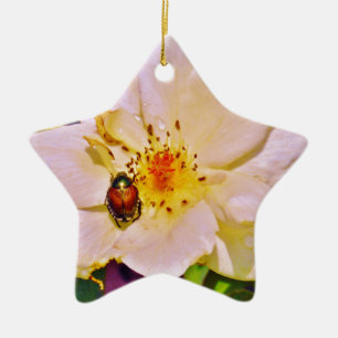 Japanese Beetle on White  Rose Ceramic Tree Decoration