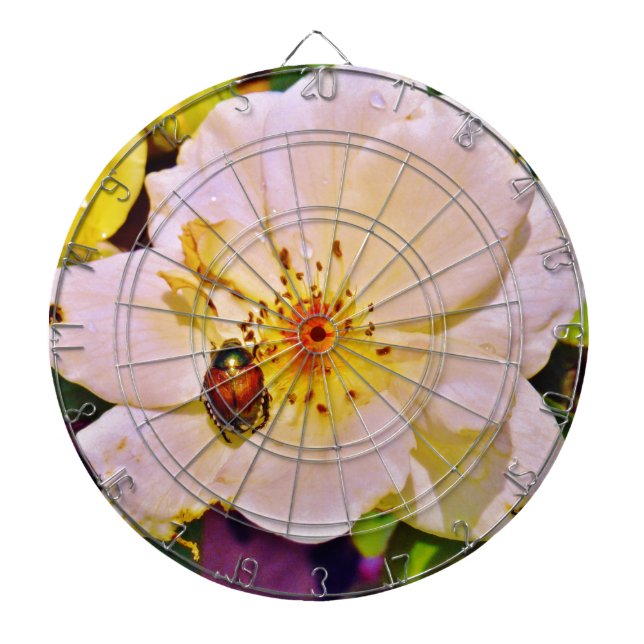 Japanese Beetle on White  Rose Dartboard (Front)