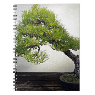 Japanese Black Pine Bonsai Spiral Notebook