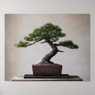 Japanese Black Pine Bonsai | Zen Wall Art