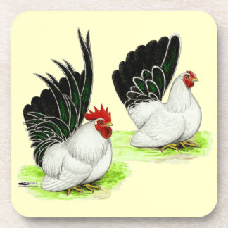 Japanese Black White Bantams Coaster