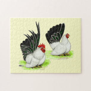 Japanese Black White Bantams Jigsaw Puzzle