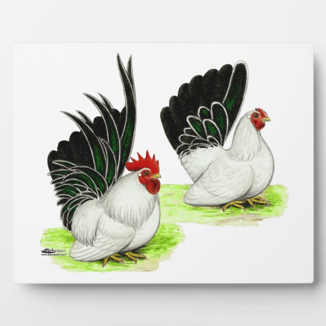 Japanese Black White Bantams Plaque (Front)