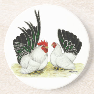 Japanese Blacktail Bantams Coaster