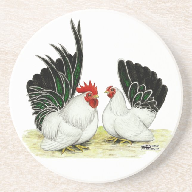 Japanese Blacktail Bantams Coaster (Front)