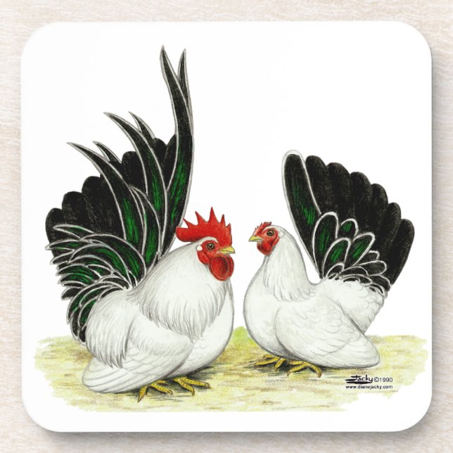 Japanese Blacktail Bantams Coaster (Front)