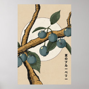Japanese Blueberries Poster