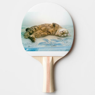 japanese bobtail brown tabby ping pong paddle