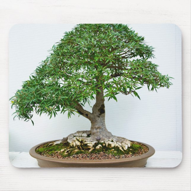 Japanese Bonsai Tree in Shallow Oval Pot Mouse Pad (Front)