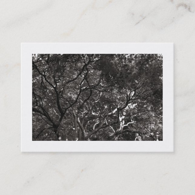 Japanese Branches 01 (Bordered) Business Card (Front)