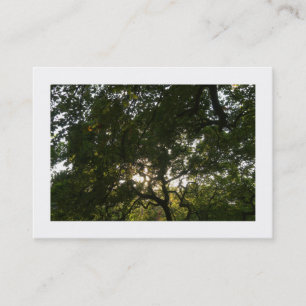 Japanese Branches 04 (Bordered) Business Card