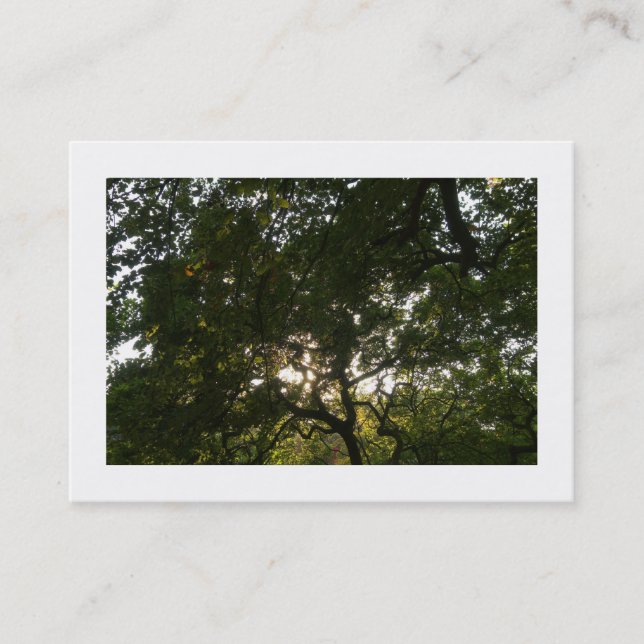 Japanese Branches 04 (Bordered) Business Card (Front)