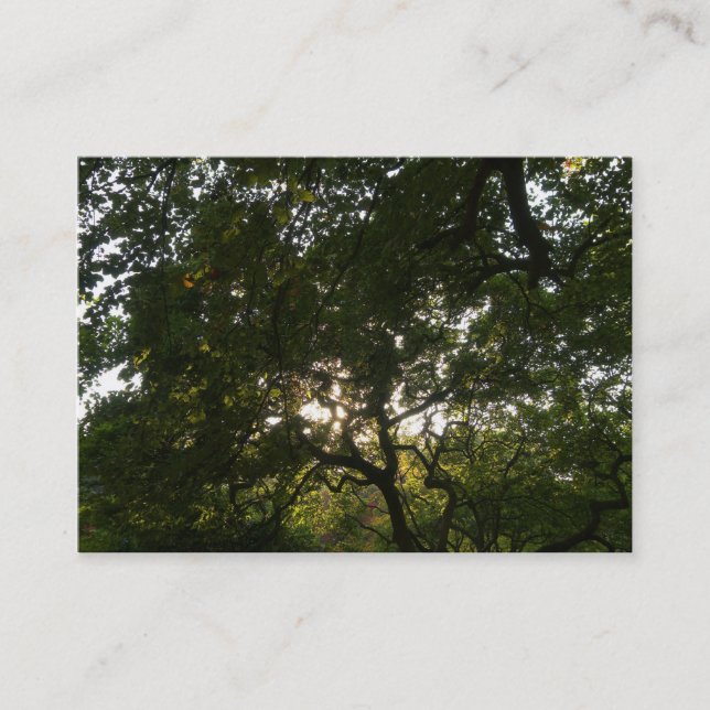 Japanese Branches 04 Business Card (Front)