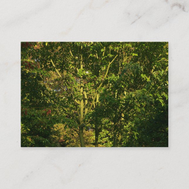 Japanese Branches 05 Business Card (Front)