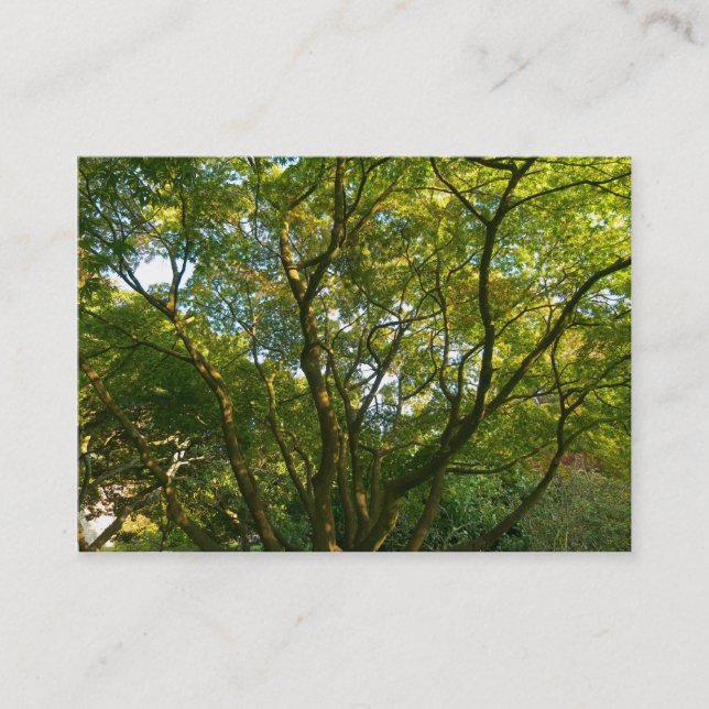 Japanese Branches 06 Business Card (Front)