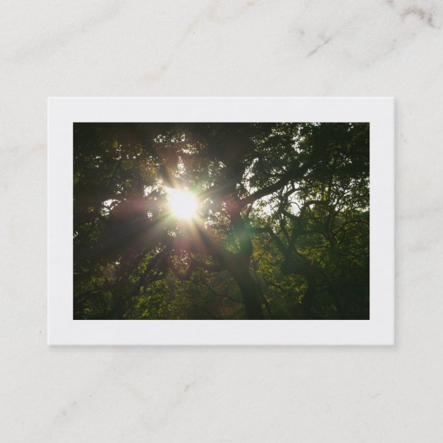 Japanese Branches 07 (Bordered) Business Card (Front)