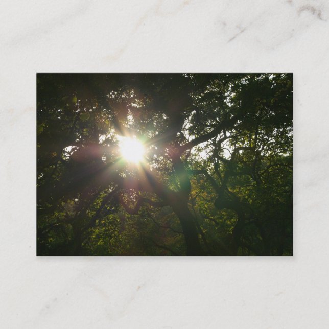 Japanese Branches 07 Business Card (Front)