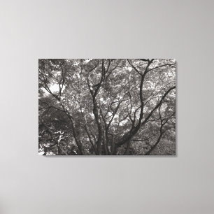 Japanese Branches II Canvas Print