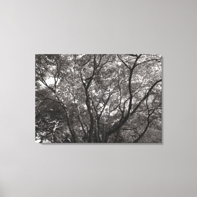 Japanese Branches II Canvas Print (Front)