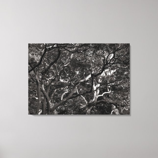 Japanese Branches III Canvas Print (Front)