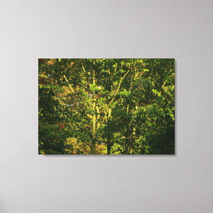 Japanese Branches V Canvas Print