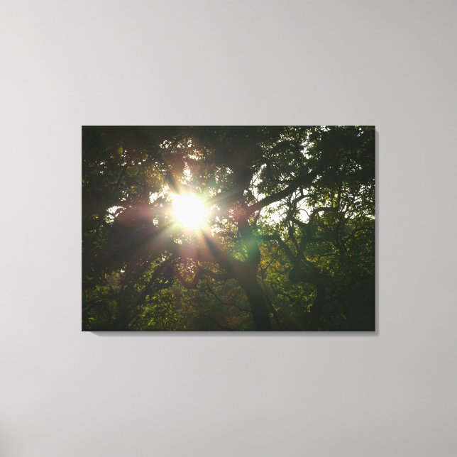 Japanese Branches VII Canvas Print (Front)