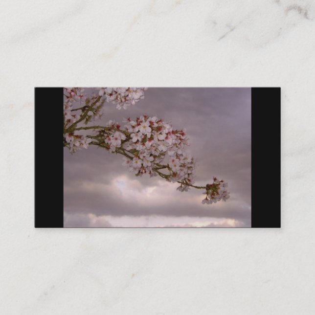 Japanese Business Card (Front)