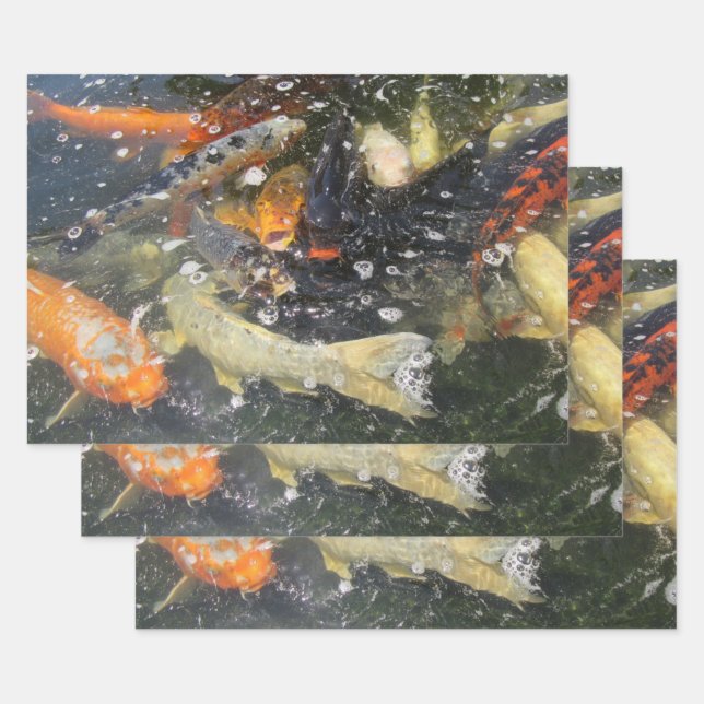 Japanese Carp Koi Fish Swimming Wrapping Paper Sheet (Set)