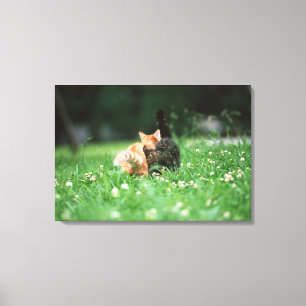 Japanese Cat 4 Canvas Print