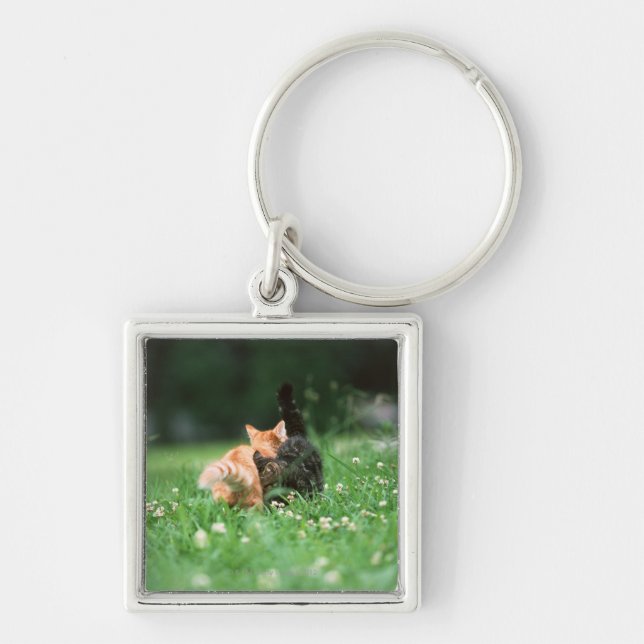 Japanese Cat 4 Key Ring (Front)