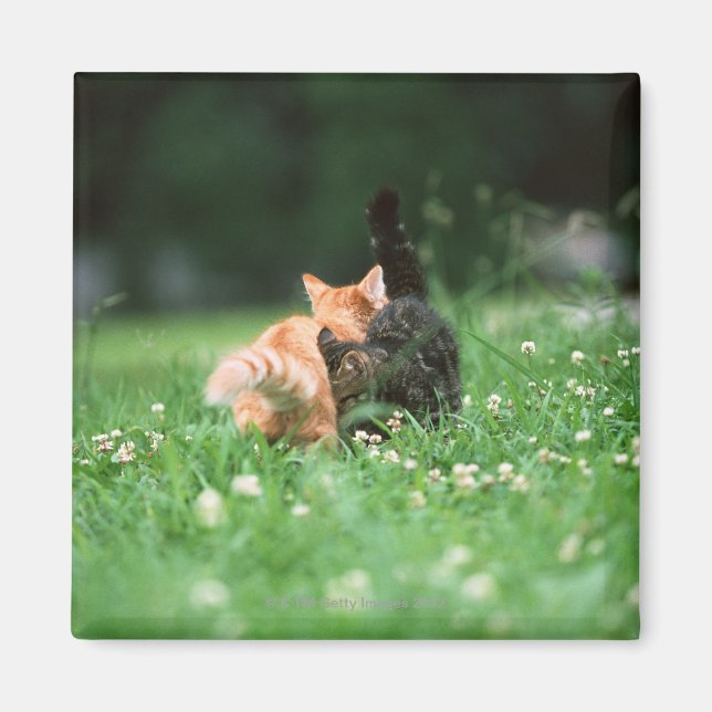Japanese Cat 4 Magnet (Front)