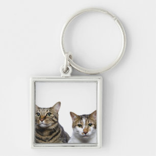 Japanese cat and Manx cat on white background Key Ring