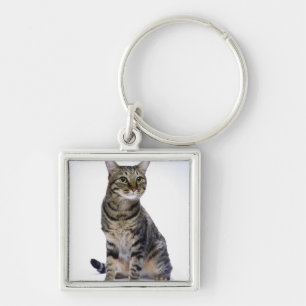 Japanese cat on white background key ring