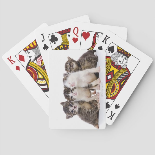 Japanese cat playing cards (Back)