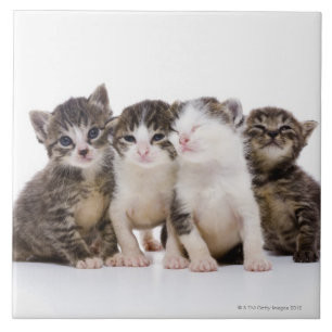 Japanese cat tile