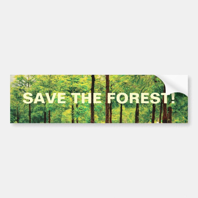 Japanese Cedar woods Bumper Sticker (Front)