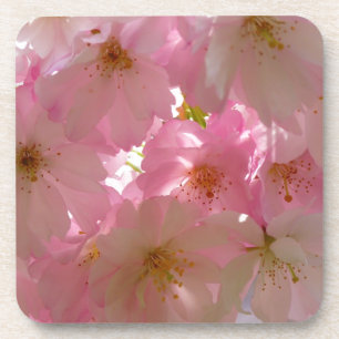 Japanese Cherry Blossom Coaster