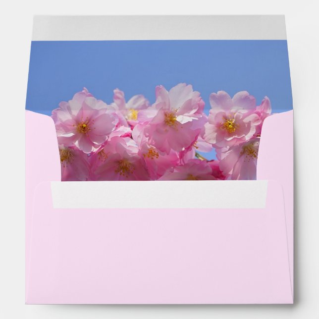 Japanese Cherry Blossom envelope (Back (Bottom))