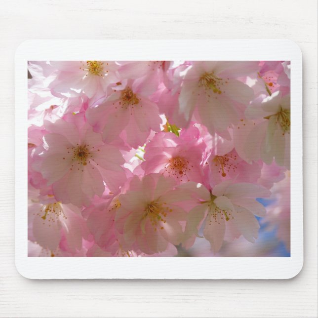 Japanese Cherry Blossom Mouse Pad (Front)