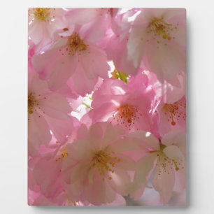 Japanese Cherry Blossom Plaque