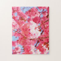Japanese Cherry Blossoms