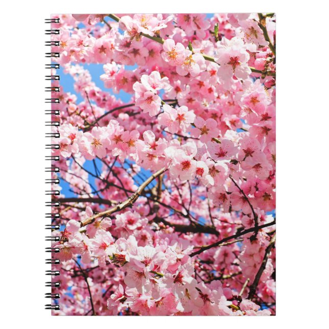 Japanese Cherry Blossoms  Notebook (Front)