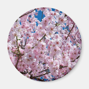 Japanese cherry Flower Magnet