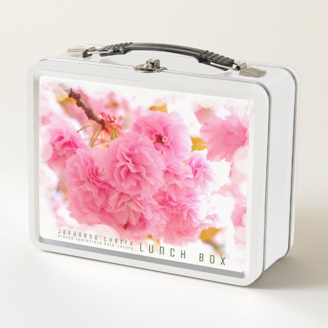 Japanese Cherry Metal Lunch Box (Front)