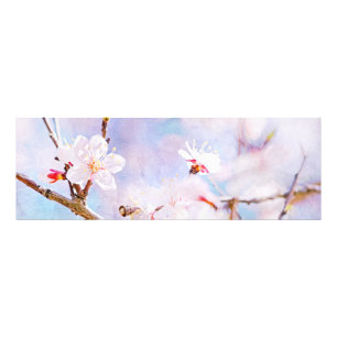 Japanese Cherry - Sakura In Bloom Photo Print
