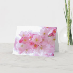Japanese Cherry Tree Blossom Card